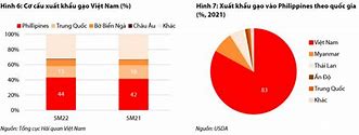 Hạn Ngạch Xuất Khẩu Gạo Của Việt Nam 2022 Là