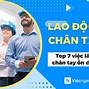 Người Lao Động Tay Chân Trong Tiếng Anh