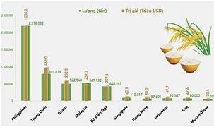 Số Liệu Xuất Khẩu Gạo Việt Nam 2021 Mới Nhất Pdf