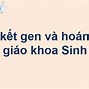 So Sánh Liên Kết Gen Và Hoán Vị Gen