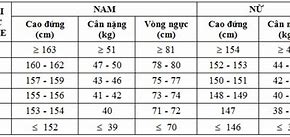 Tiêu Chuẩn Sức Khoẻ Đi Làm Công An Nghĩa Vụ Là Gì Ạ Ạ