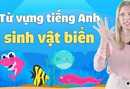 Từ Vựng Tiếng Anh Về Sinh Vật Biển