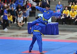 Vovinam Thành Phố Hồ Chí Minh